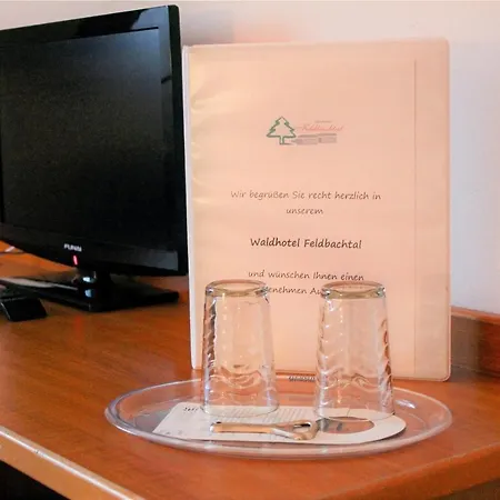 Waldhotel Feldbachtal Hotel 3*